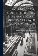 "bric  Brac", Or, Some Photoprints Illustrating Art Objects At Gower Lodge, Windsor