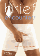 Brief Encounters: 69 Hot Gay Shorts