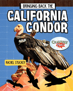 Bringing Back the California Condor