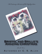 Bristol and Brillo's Amazing Christmas: The Hedgehog Sisters