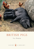 British pigs