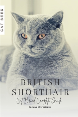 British Shorthair: Cat Breed Complete Guide - Shurpatenko, Ruslana