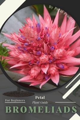 Bromeliads: Prodigy Petal, Plant Guide - Prodigy, Petal