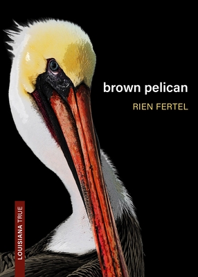 Brown Pelican - Fertel, Rien