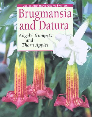 Brugmansia and Datura: Angel's Trumpets and Thorn Apples - Preissel, Ulrike, and Preissel, Hans-Georg