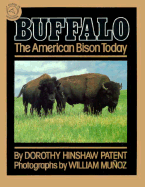 Buffalo: The American Bison Today