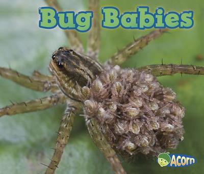 Bug Babies - Veitch, Catherine