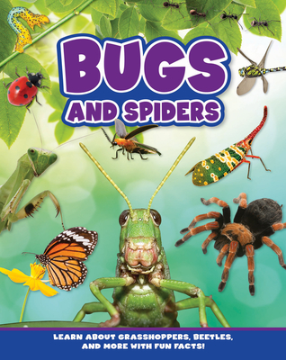 Bugs and Spiders - Flying Frog