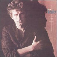 Building the Perfect Beast - Don Henley