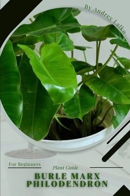 Burle Marx Philodendron: Plant Guide - Lalko, Andrey