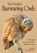 Burrowing Owls: A Visual Essay