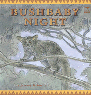 Bushbaby Night