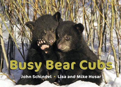 Busy Bear Cubs - Schindel, John, and Husar, Lisa (Photographer), and Husar, Mike (Photographer)