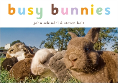 Busy Bunnies - Schindel, John, and Holt, Steven (Photographer)