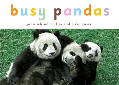 Busy Pandas - Schindel, John, and Husar, Lisa (Photographer), and Husar, Mike (Photographer)