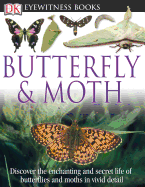 Butterfly & Moth