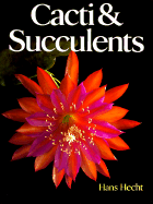 Cacti Succulents