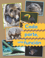 Cada Parte, Una Funcin