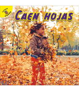 Caen Hojas: Leaves Fall