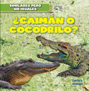 ?Caimn O Cocodrilo? (Alligator or Crocodile?)