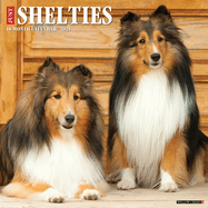 CAL 25 SHELTIES 2025 WALL