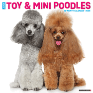 CAL 25 TOY & MINIATURE POODLES 2025