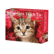 CAL 25 WHAT CATS TEACH US 2025 BOX