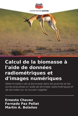 Calcul de la biomasse  l'aide de donnes radiomtriques et d'images numriques - Chvez, Ernesto, and Paz Pellat, Fernado, and Bolaos, Martin A