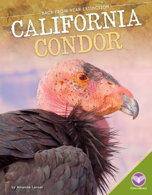 California Condor - Lanser, Amanda