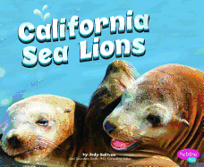 California Sea Lions