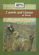 Camels and Llamas at Work