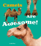 Camels Are Awesome!