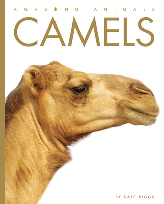 Camels - Riggs, Kate