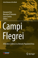 Campi Flegrei: A Restless Caldera in a Densely Populated Area