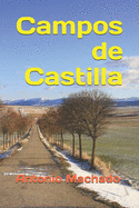 Campos de Castilla