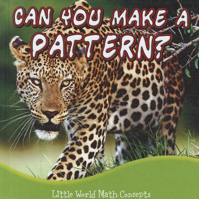 Can You Make a Pattern? - Picou, Lin