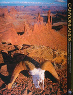 Canyonlands: Wilderness of Rocks (10x13 Series) - Nicky Leach