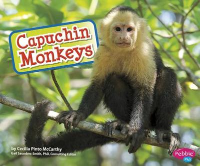Capuchin Monkeys - Saunders-Smith, Gail (Consultant editor), and McCarthy, Cecilia Pinto
