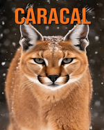 Caracal: La gu?a esencial de este incre?ble animal con fotos incre?bles