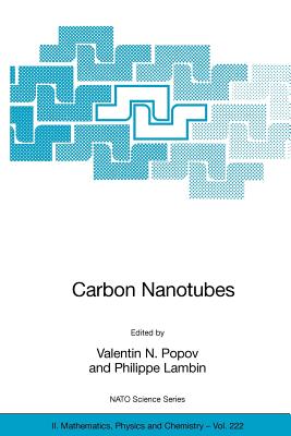 Carbon Nanotubes: From Basic Research to Nanotechnology - Popov, Valentin N (Editor), and Lambin, Philippe (Editor)