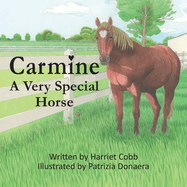 Carmine: A Very Special Horse