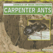 Carpenter Ants