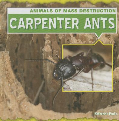 Carpenter Ants - Ponka, Katherine