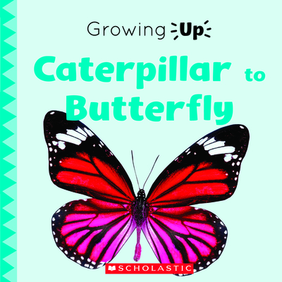 Caterpillar to Butterfly (Growing Up) - Fitzgerald, Stephanie