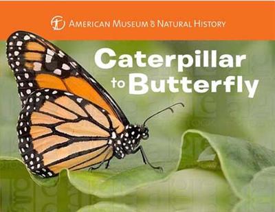 Caterpillar to Butterfly - American Museum of Natural History, and Stewart, Melissa