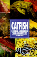 Catfish, Keeping and Breeding