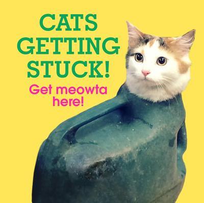 Cats Getting Stuck! - 