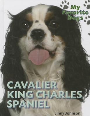 Cavalier King Charles Spaniel - Johnson, Jinny