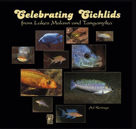 Celebrating Cichlids From Lakes Malawi and Tanganyika
