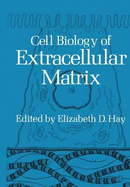 Cell Biology of Extracellular Matrix - Hay, Elizabeth D